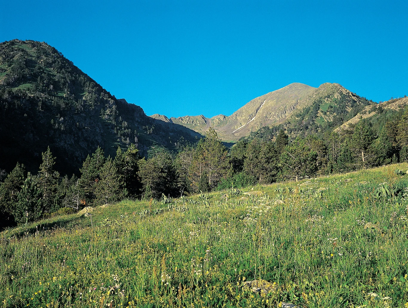 Mimo że Andora jest większa od Malty czy nawet niektórych wysp greckich, nie ma własnego portu lotniczego. Mimo że Andora jest większa od Malty czy nawet niektórych wysp greckich, nie ma własnego portu lotniczego.