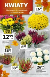 Szczęściobranie - Auchan