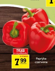 Papryka