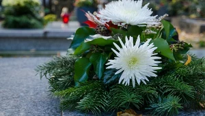 Chryzantemy odchodzą do lamusa? Ta ozdoba przetrwa znacznie dłużej 