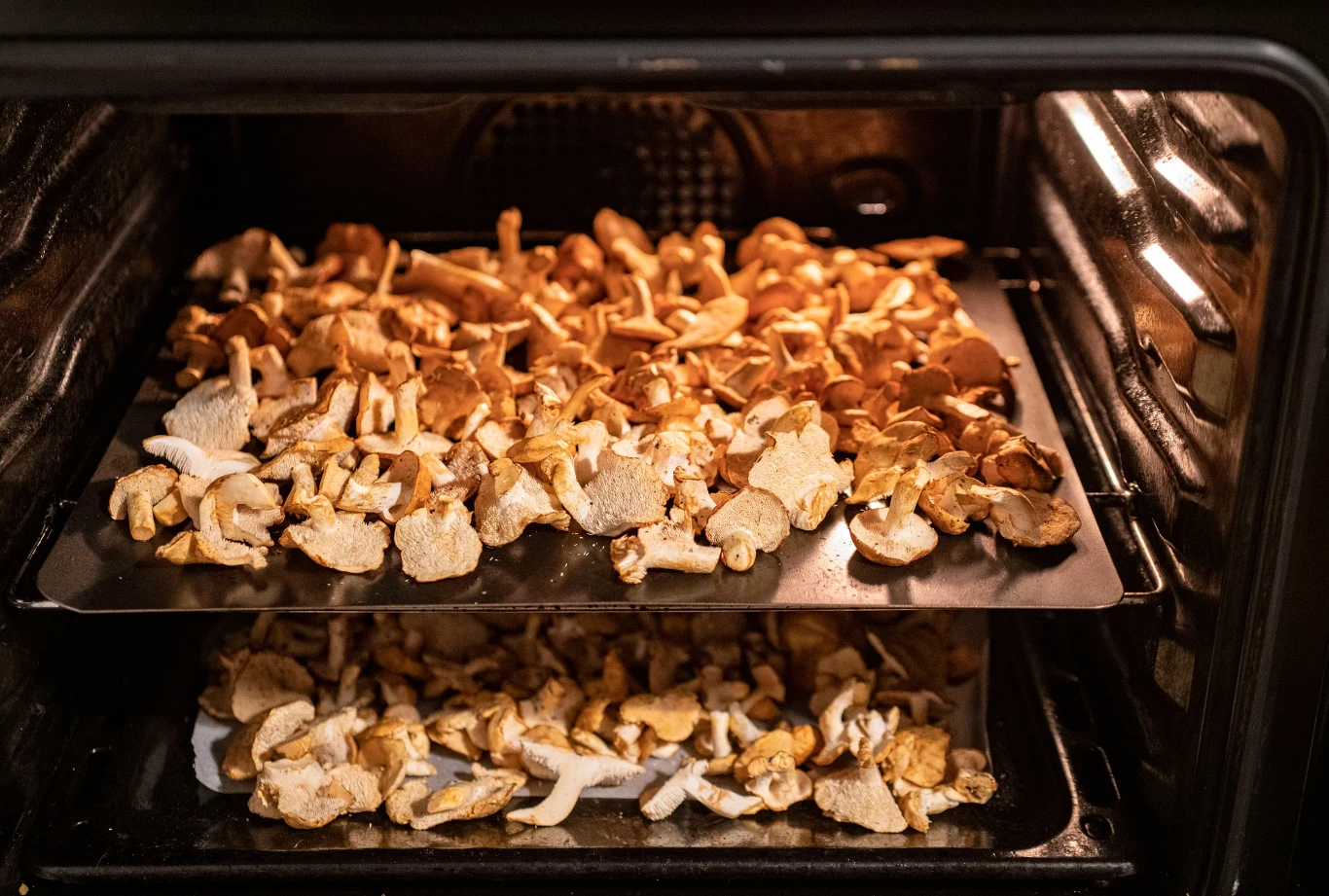 W jakiej temperaturze suszyć grzyby? Tak będą aromatyczne i dobre przez wiele miesięcy