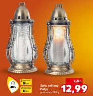 Znicz