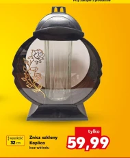 Znicz