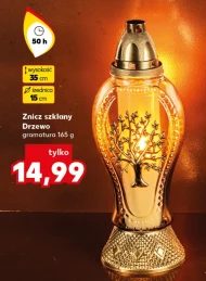 Znicz