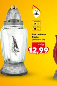 Znicz