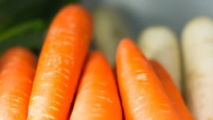 Sprawdzony sposób na przechowywanie marchwi. Będzie dłużej świeża