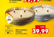 Znicz