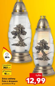 Znicz Fala