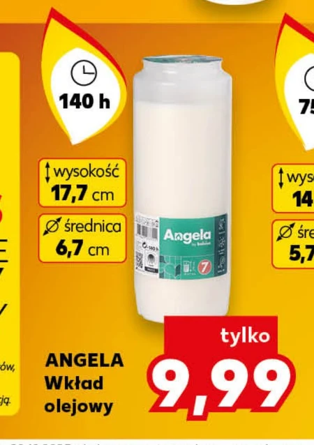 Wkład olejowy Angela