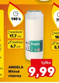 Wkład olejowy Angela