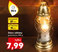 Znicz
