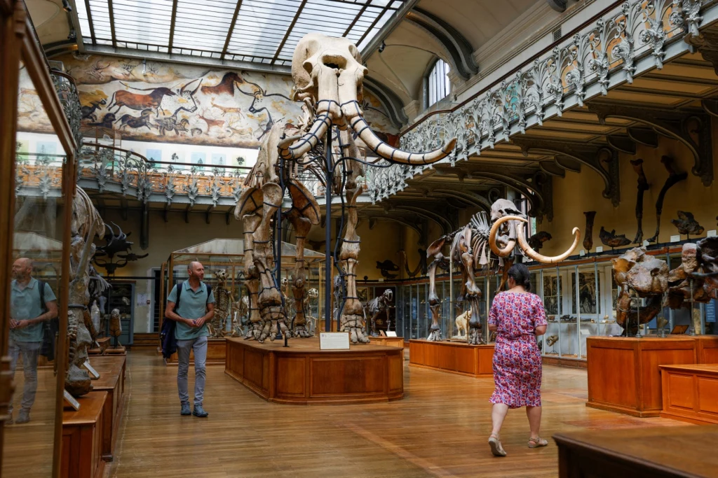 Zatrzymano Chinkę oskarżoną o kradzież złota z paryskiego Muzeum Historii Naturalnej 