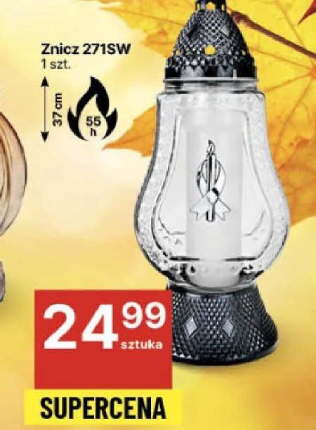 Znicz