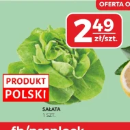 Sałata Polski