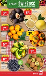 Duża rodzina, duże oszczędności! - Polomarket