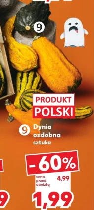 Dynia Polski