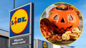 Lidl odpalił halloweenową ofertę. Takich smakołyków i ozdób jeszcze nie było!