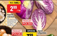 Kapusta czerwona Polski