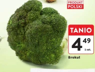 Brokuł Polski