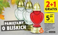 Znicz Płomyk