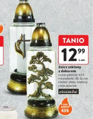 Znicz Płomyk