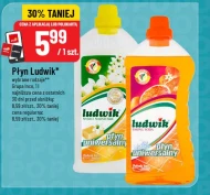 Płyn uniwersalny Ludwik
