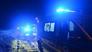 Karambol na Śląsku (zdj. ilustr.)