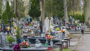 Sprzątanie grobu na Wszystkich Świętych. Ile zapłacisz za taką usługę?