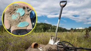 Rolnicy z Mazur znaleźli monety na łące. Myśleli, że to kamienie