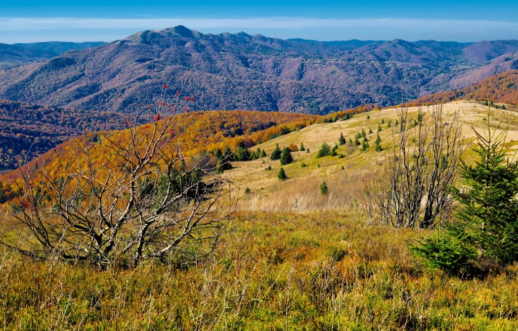 Bieszczady to wspaniałe miejsce na wypoczynek