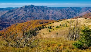 144 km pięknych widoków. Idealny pomysł na jesienną wycieczkę po Polsce