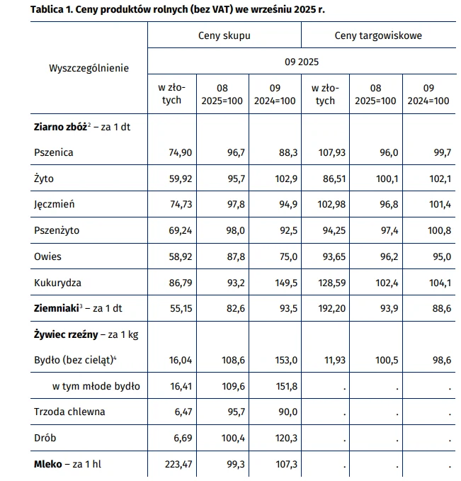 Tabela prezentuje ceny skupu i ceny targowiskowe wybranych produktów rolnych we wrześniu 2025 roku, zawierając szczegółowe dane dla zbóż, ziemniaków, żywca rzeźnego oraz mleka w przeliczeniu na określone jednostki wagowe i wartości wskaźników.