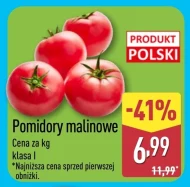Pomidory Polski