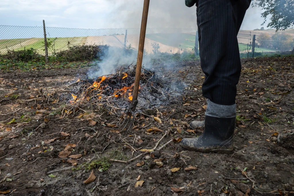 Czy można palić liście na swojej posesji? Jakie przepisy regulują tę kwestię?