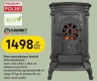 Дров'яна піч на дровах Kawmet