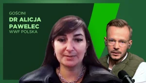 Powodzie, susze i katastrofy. Co się dzieje z polskimi rzekami?