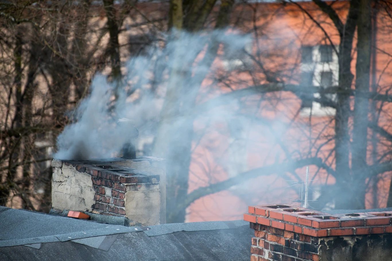 "Czyste Powietrze". Będzie pomoc dla ofiar "nieuczciwych praktyk" Dym unoszący się z kominów na dachu budynku mieszkalnego, w tle widoczne gałęzie drzew i elewacja bloku z oknami.