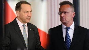 Z Węgier płyną kąśliwe uwagi o Polsce. Padają nazwiska Tuska i Sikorskiego