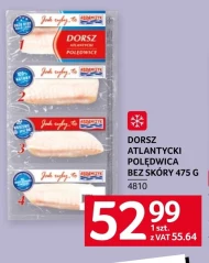 Dorsz