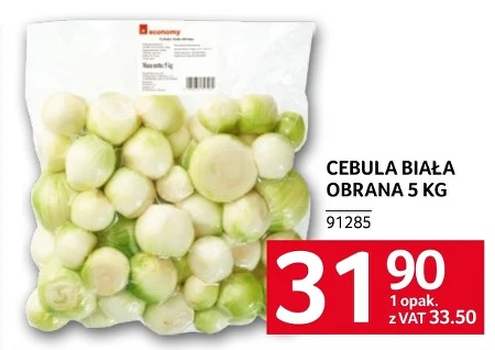 Cebula