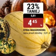Dynia