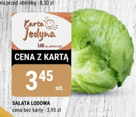 Sałata lodowa
