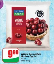 Вишня без кісточок Mroźny ogród