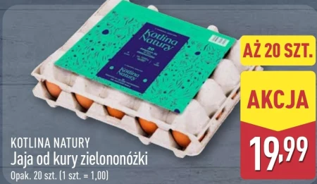 Яйця Kotlina natury