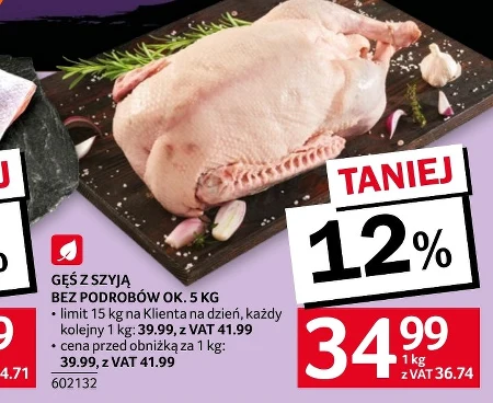 Gęś Ok.