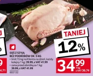 Gęś Ok.