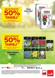 Inspirujący tydzień - Polomarket
