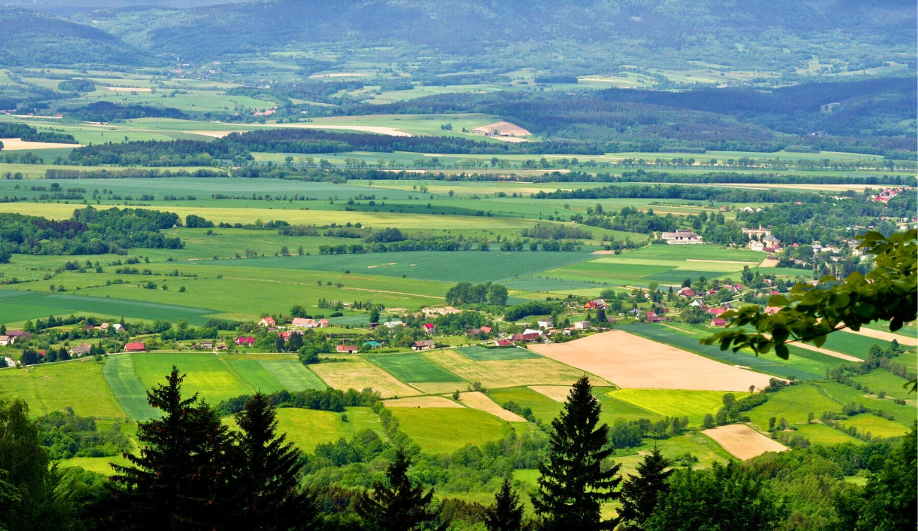Sudecka Droga Św. Jakuba - malowniczy szlak na Igliczną Sudecka Droga Św. Jakuba - malowniczy szlak na Igliczną