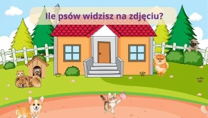 Myślisz, że masz bystre oko? Ten test zmylił wielu internautów
