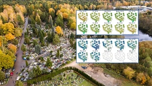 Szczegółowa prognoza na 1 listopada. Wiemy, czego się spodziewać